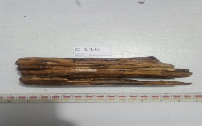 KAYU 30000 C 101 - C 11 UNTUK PEMELIHARAAN TARANTULA, REPTIL, SERANGGA, DLL